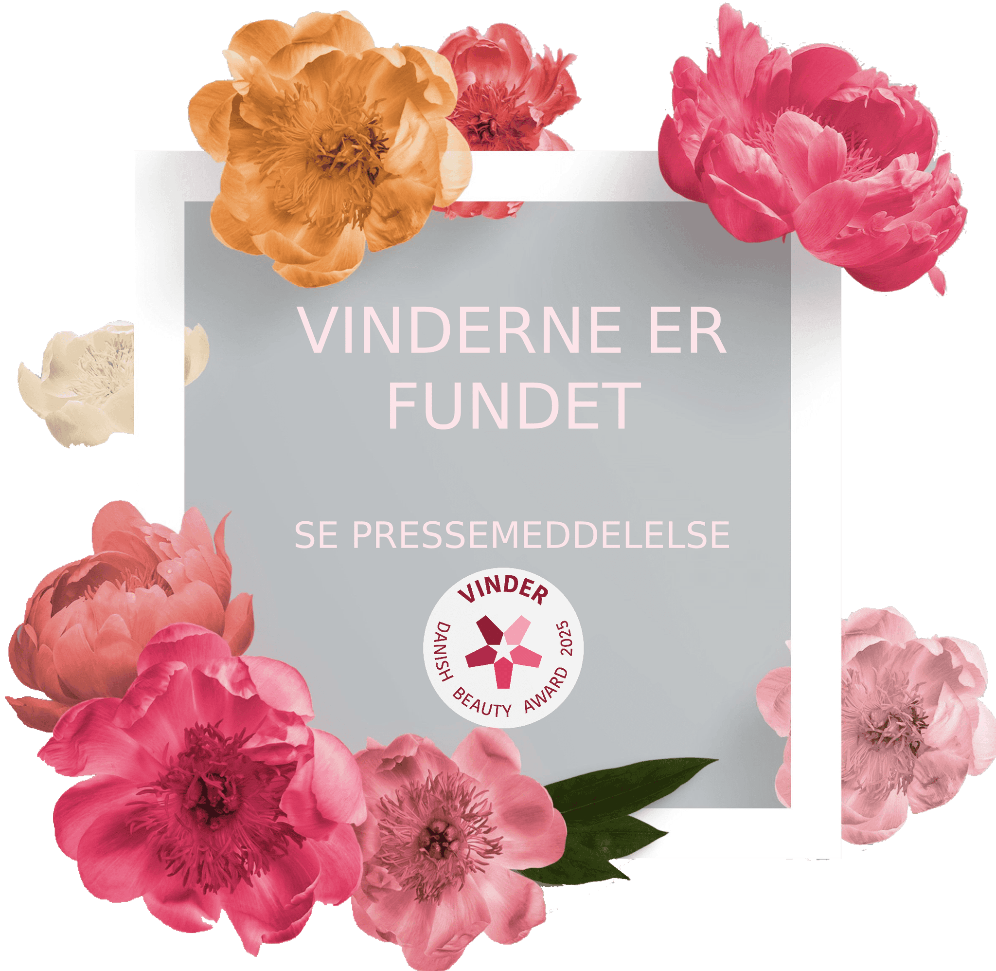 Nominerede er fundet